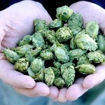 craft beer brands and branding tips